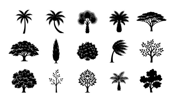 Tropical Palm and Broadleaf Tree Silhouette Icons Botanical Vector Collection