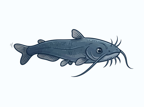 A detailed illustration of a blue catfish swimming in a side profile view.
