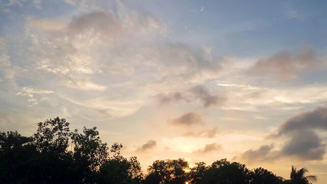 Peaceful sky with moving clouds over dark trees at sunset or sunrise nature footage.