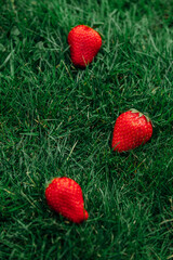 Three juicy ripe strawberries on green grass, close-up top view, spring freshness © Masson