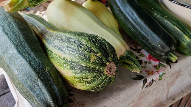 Woman's hand holding fresh green cucumber with bumpy skin near harvest basket in a vegetable garden, garden produce concept, homegrown food, healthy eating lifestyle.