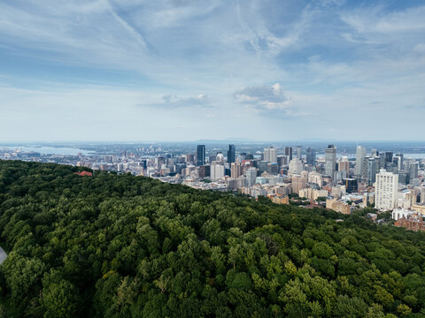 Montreal downtown skyline from Mount Royal with park, lake and greenery in summer, Quebec, Canada. g.