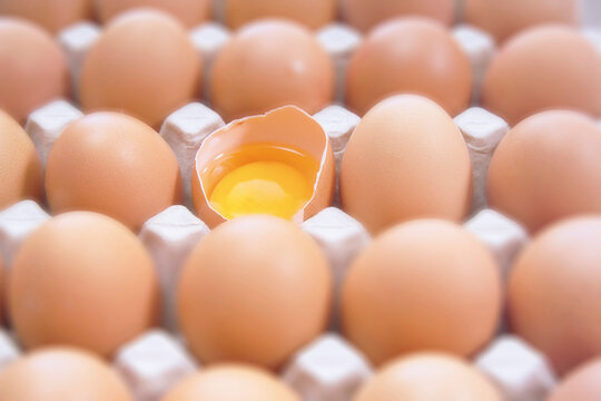 Eggyolk