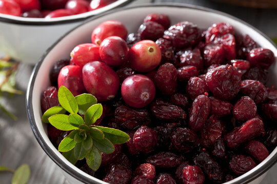 Two bowls of dried and fresh cranberries (Vaccinium macrocarpon), close-up