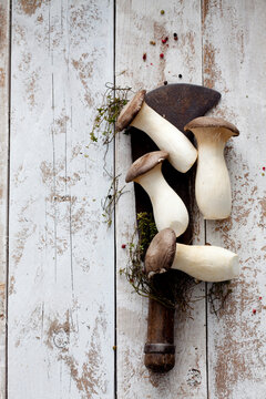 King trumpet mushrooms, cleaver, thyme and peppercorns on wood