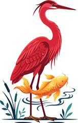 Fototapeta premium A vibrant red heron standing tall beside a golden koi fish in shallow water.