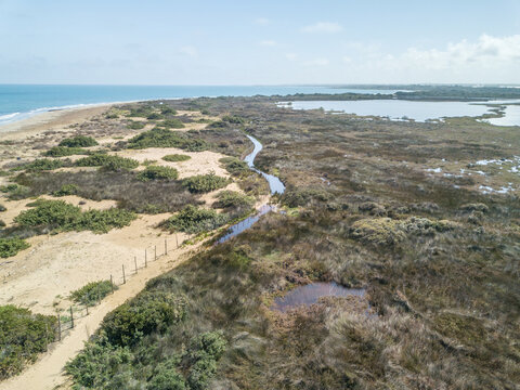 Flooded trail in the swamps of the Riserva naturale orientata Oasi Faunistica di Vendicari, Sicily, Italy, drone photo