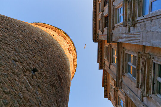 Turkey, Istanbul, Galata, Galata Tower, house and flying bird