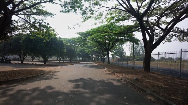 A quiet sunlit road winds through a park lined with wide-canopied trees casting dappled shadows across the empty asphalt, fence-lined edge and dry grassy verges on a calm morning.