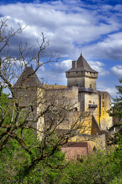 Chateau de Castelnaud, France, vertical view. Medieval stone fortress under partly cloudy sky