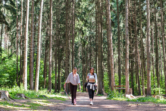 Women walk together on a path through a sunny pine forest