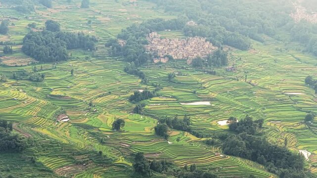Aerial view of lush green rice terraces carved into the hillsides with a small village nestled among the landscape in Honghe Hani and Yi Autonomous Prefecture, Yunnan, China.