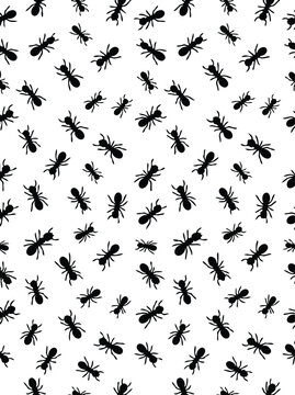Seamless Vector Pattern of Crawling Black Ants on White Background