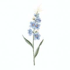 Fototapeta premium A delicate blue forget-me-not flower stem with green leaves isolated on a transparent background