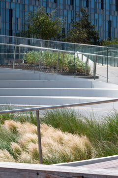 Landscaped steps and ornamental grasses lead through a contemporary urban plaza with glass railings and architecture arranged across the frame