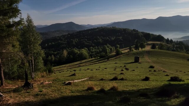 Scenic landscape photograph of a grassy mountain meadow overlooking a deep forested valley and distant ranges under a bright blue sky with white clouds. Concept for outdoor travel, wilderness hiking, 