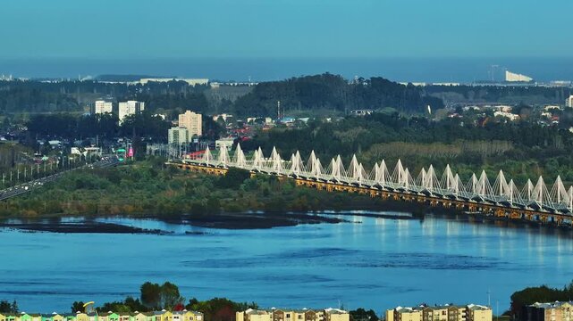 Aerial view of the Juan Pablo II Bridge spanning the Bio Bio River with urban buildings and lush greenery in Concepcion, Bio Bio, Chile.