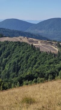 Vertical outdoor stock footage showing a deforested clear-cut area with dirt tracks on a mountain ridge next to dense green forest and distant mountain peaks under a clear sky. Concept for deforestati