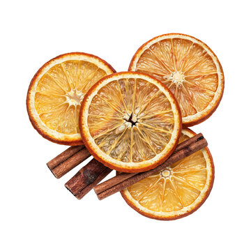 Three dried orange slices arranged with two whole cinnamon sticks for holiday decorating and culinary use isolated on a transparent background