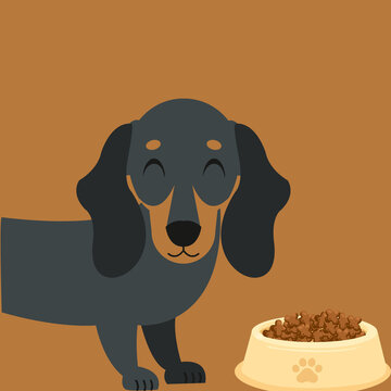dog with pet