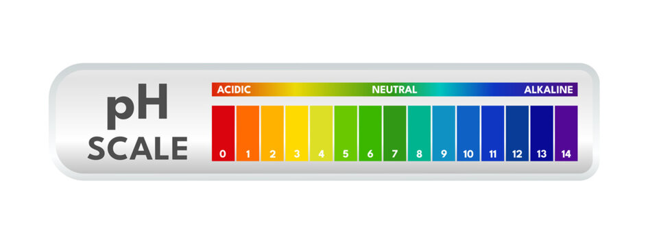 pH scale chart, acid, neutral, alkaline indicator - Vector illustration