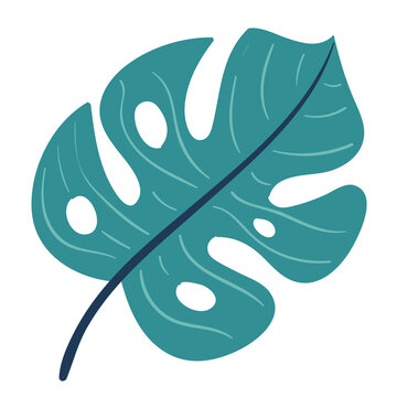 Teal green monstera palm leaf tropical botanical foliage nature icon vector illustration