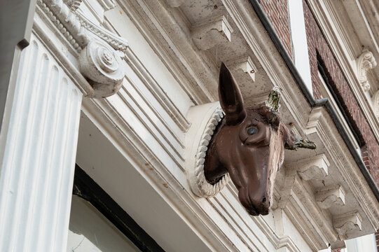 Horse head sculpture on building exterior in urban area