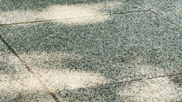 Soft shadows fall onto stone paving tiles along a sunlit park path. Gentle light dances across the textured ground. The peaceful scene evokes warmth, calm, and quiet comfort.