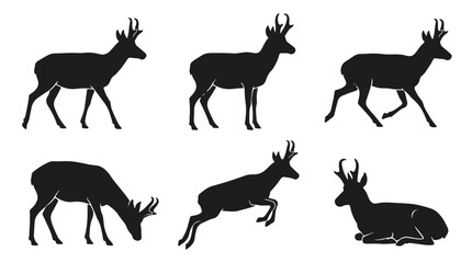 Obraz premium Pronghorn antelope silhouette vector set featuring various animal poses and behaviors.