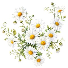 Fototapeta premium Watercolor Daisy Cascading Garland Of White Blossoms