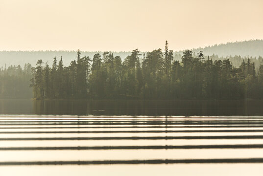Golden Morning Light Over a Tranquil Forest Lake