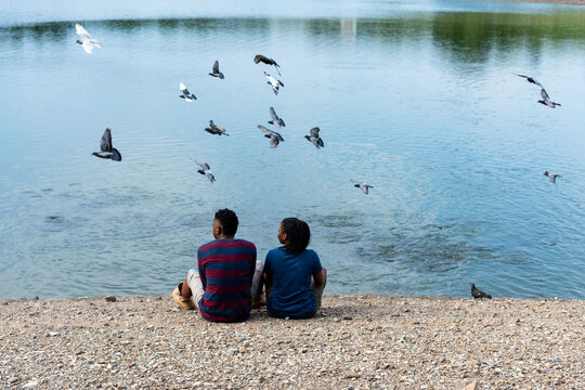 Peaceful lakeside moment with birds