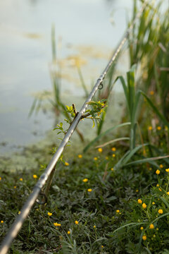 A photo of a fishing rod on the shore of a reservoir.