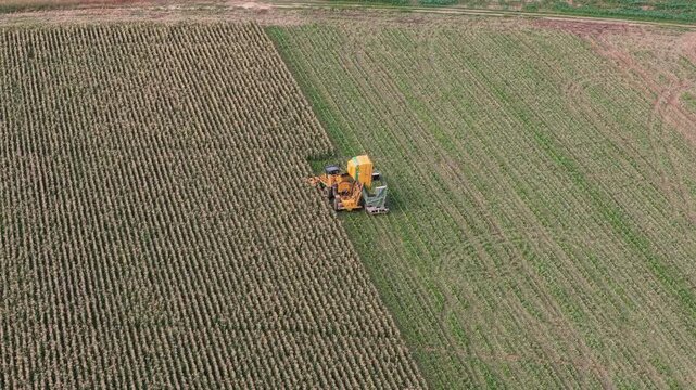 Aerial view of a combine harvester working in a maize field in Villamayor, Castile and Leon, Spain.