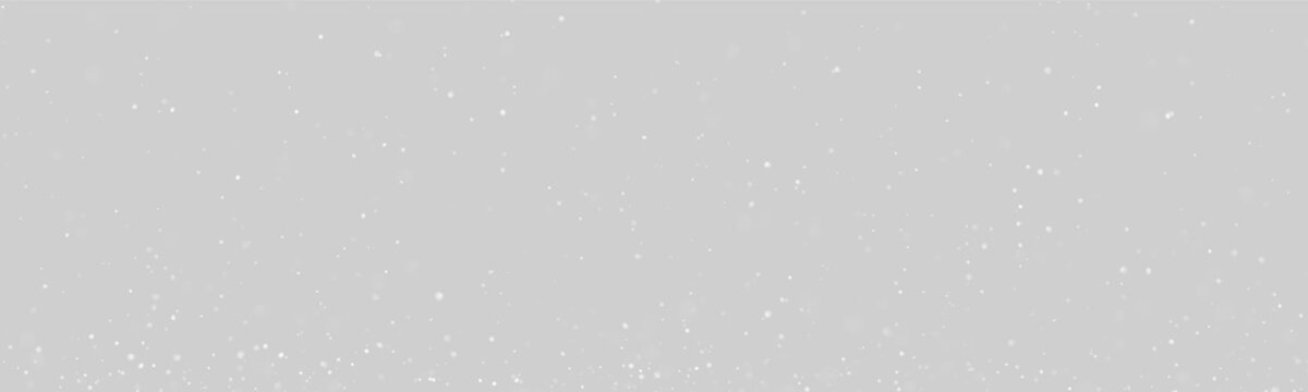 Tiny white particles scattered on a black background create a speckled effect. The particles vary in size and appear softly blurred with a random distribution.
