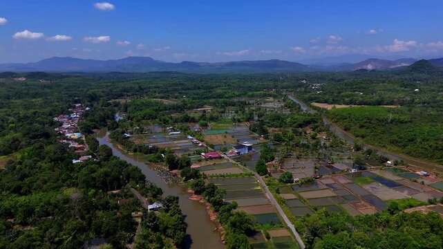 Aerial view of fish ponds and river winding through the rural landscape of Banjar Regency, South Kalimantan, Indonesia.