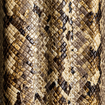 Nature texture and wildlife pattern, close up of brown and cream snake skin scales with organic geometric shapes for background and design inspiration