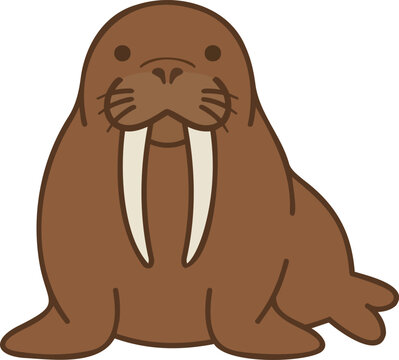 Cute cartoon walrus vector illustration, simple flat design of an arctic sea animal icon.