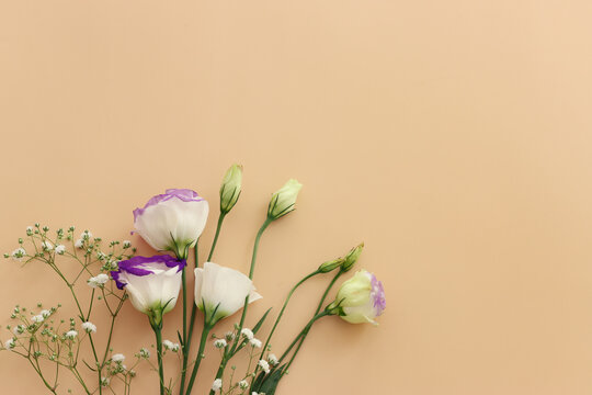 Top view image of romantic and delicate flowers on pastel background