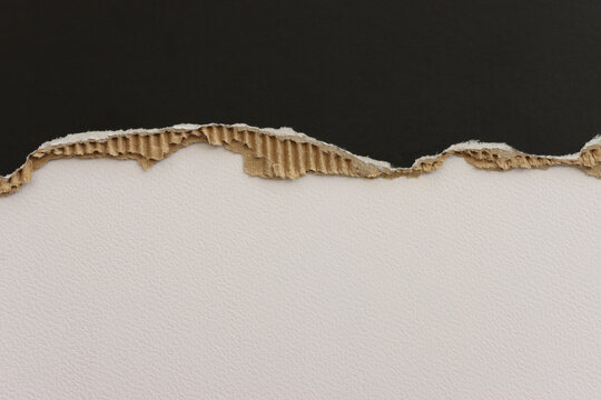 Background of textured torn paper