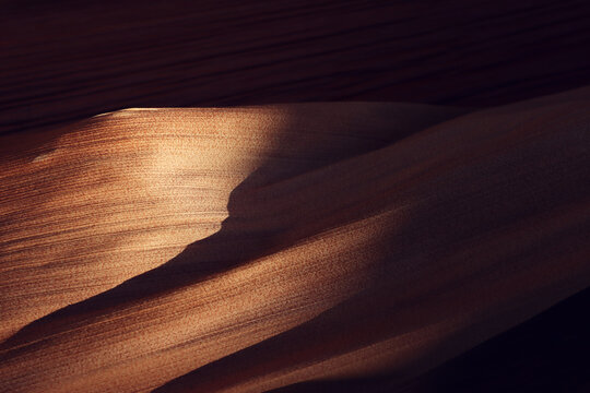 Abstract image of nature pattern. dry palm leaves closeup. Light shadow and texture