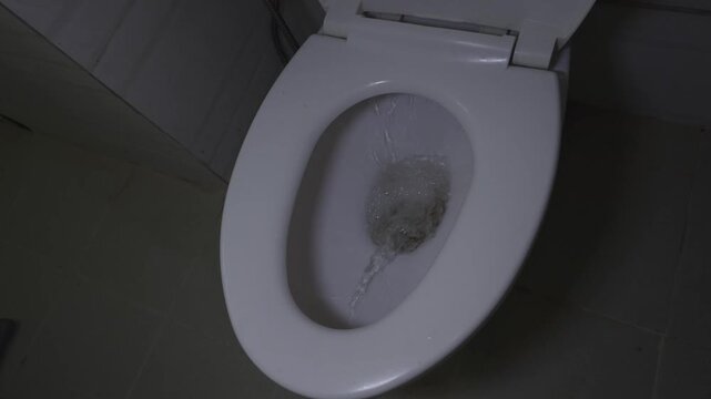Water swirls into the basin of a used, dirty toilet as it is flushed in preparation for a thorough household cleaning