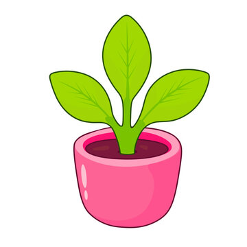 Small Green Plant in Pink Pot Cute Botanical Vector Illustration