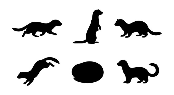Ferret Silhouettes Collection, Vector Graphics of Mustelids in Various Poses, Wildlife Animal Icons for Design Projects