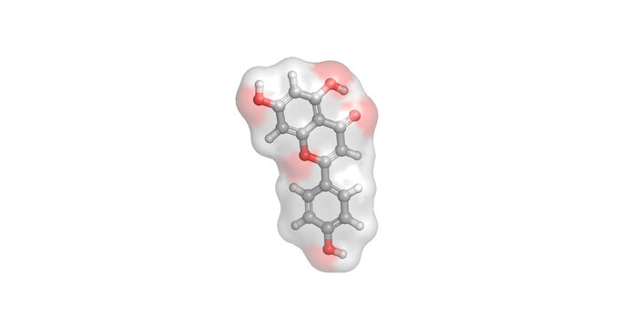 Apigenin, natural dietary flavone found in chamomile and parsley with antioxidant, anti-inflammatory, and anxiolytic properties, 3D molecule 4K
