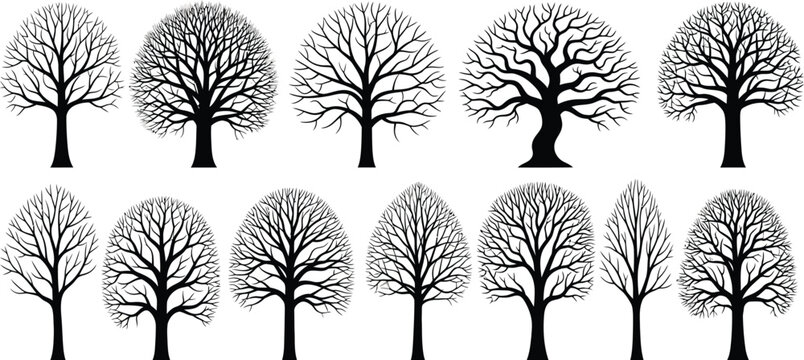 Bare winter tree silhouettes, set of 12 black deciduous tree icons, leafless branch vector collection for landscape design