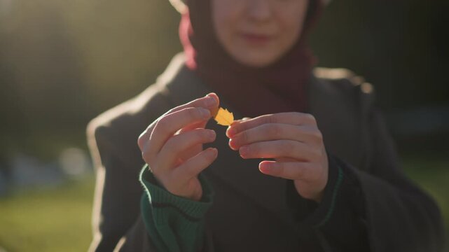Close up of person holding and examining small yellow leaf in sunlight outdoor setting. Hands gently manipulate delicate object while soft light creates warm glow on skin texture. Background