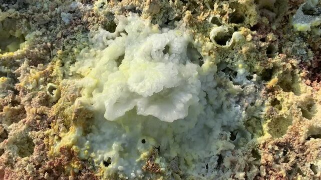View of colorful sulfur and salt formations in the geothermal landscape of the Danakil Depression, Ethiopia.
