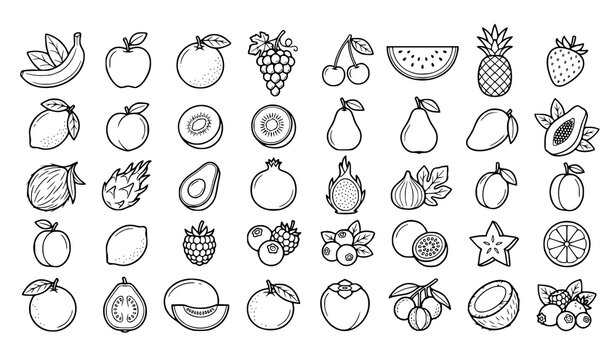 Fruit Line Art Collection, Hand Drawn Black and White Outline Icons of Fresh Tropical and Orchard Fruits