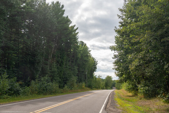 Paved Road Curving Through Mixed Forest
